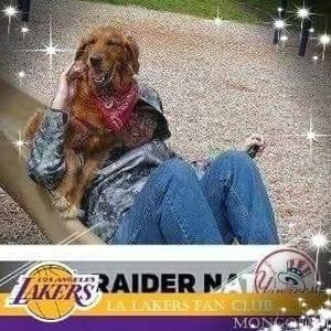 Meet your Posher, Tim